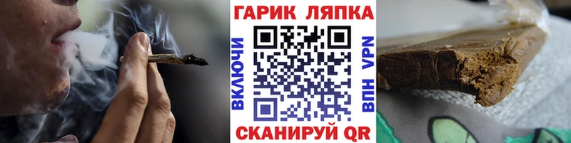 цена   Нелидово  ГАШ Изолятор 