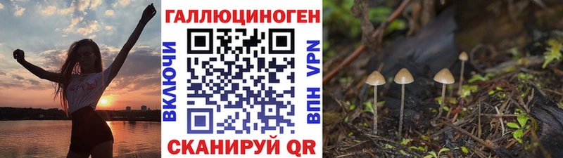Галлюциногенные грибы GOLDEN TEACHER  мега ТОР  Нелидово  что такое  